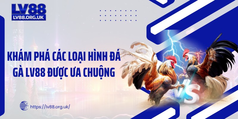 Khám phá các loại hình đá gà LV88 được ưa chuộng
